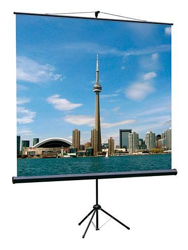 Экран на треноге Lumien 160x160см Eco View LEV-100105 1:1 напольный рулонный фото 1
