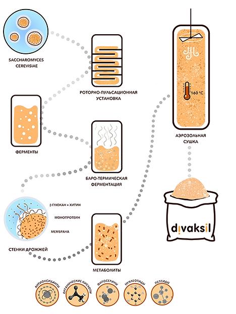 Биоактивный компонент для приготовления комбикорма животным и птицам DIVAKSIL фото 5