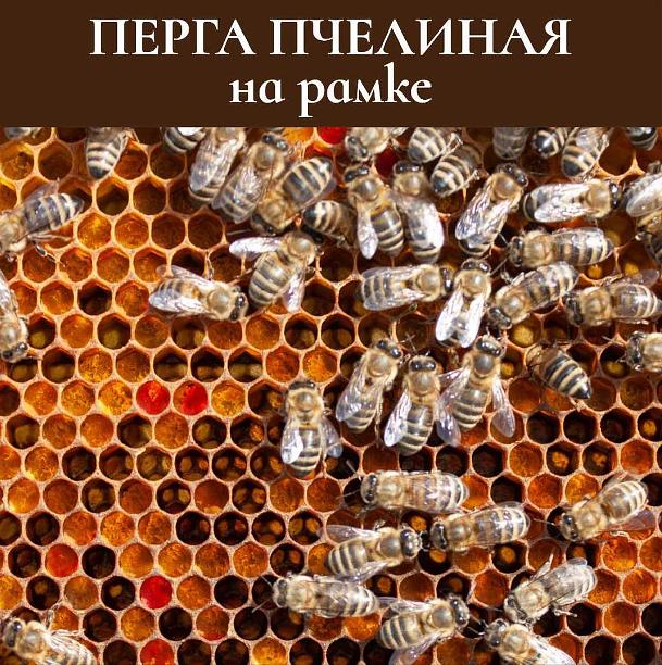 Перга 75 г ОПТ фото 5