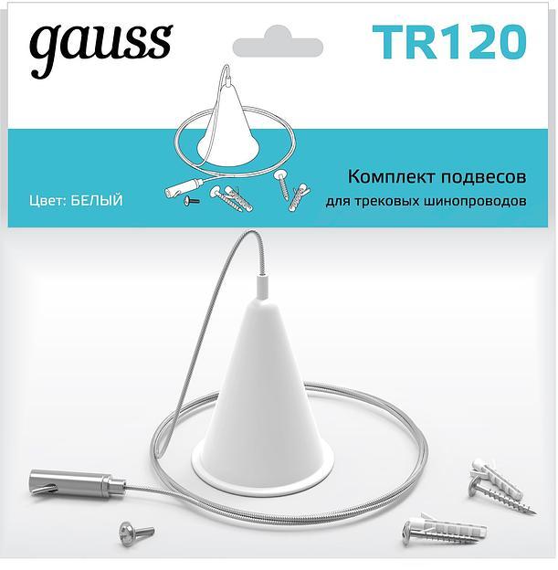 Комплект подвесов для трековых шинопроводов 1шт цвет белый однофазный Gauss Gauss TR120 фото 3