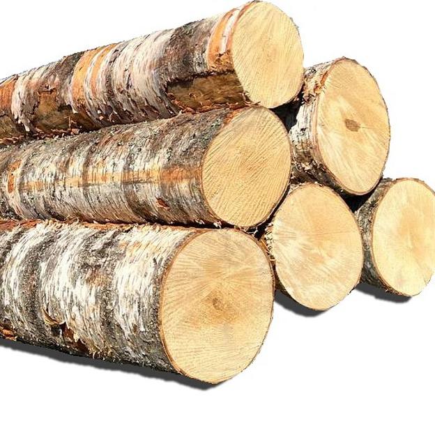 Фанерный кряж берёза опт фото 1