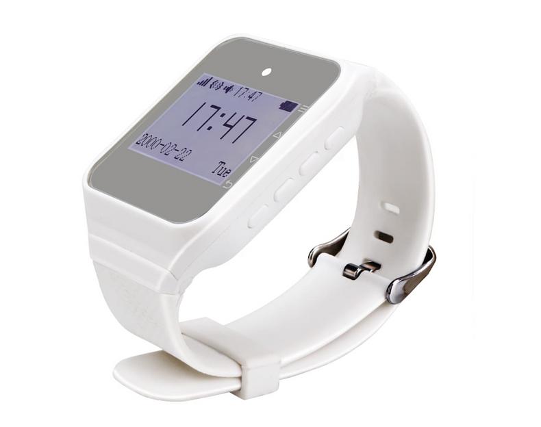 Система вызова из 2-х часов и 10-ти кнопок SWB27-2 ОПТ фото 9