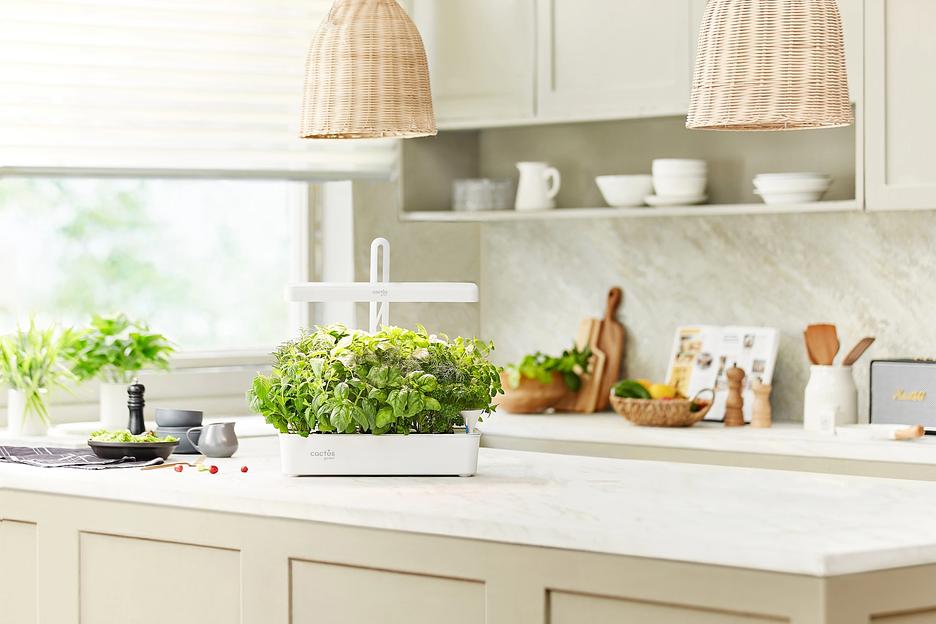 Кашпо Cactus Garden CS-LEDPOT-10 2.0л белый фото 3