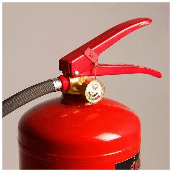 Огнетушитель Ярпожинвест порошковый ОП-5 ОПТ фото 3