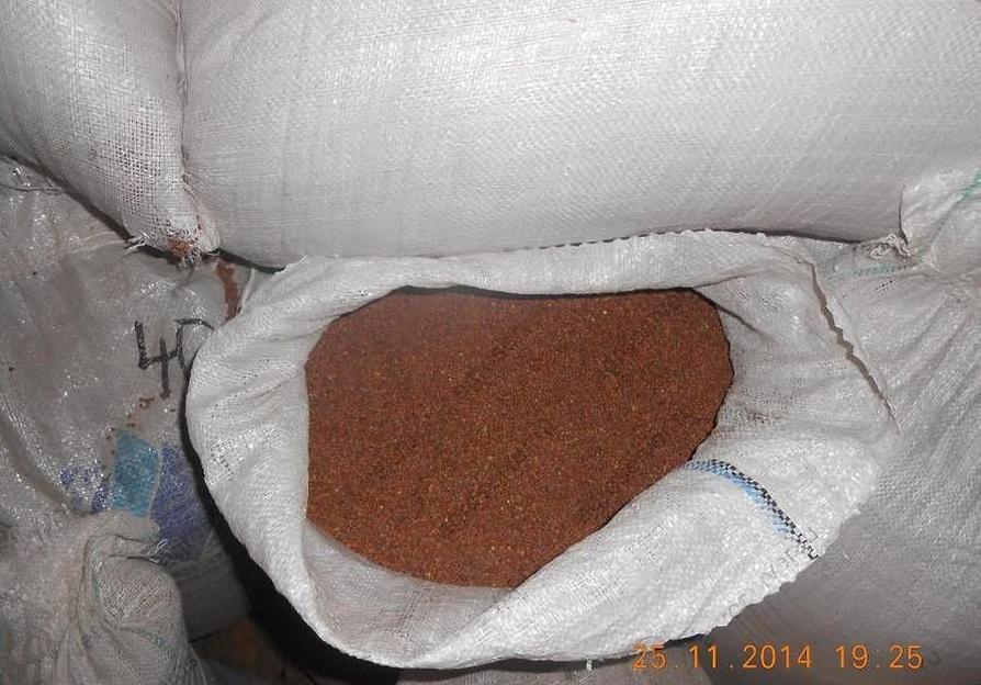 Семена райграса однолетнего сорт «Рапид» «Изорский» опт фото 1