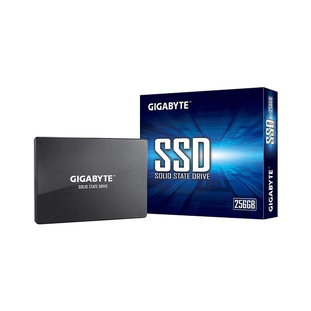 Твердотельный накопитель SSD  Gigabyte  GP-GSTFS31256GTND (4719331804329)  256GB фото 3