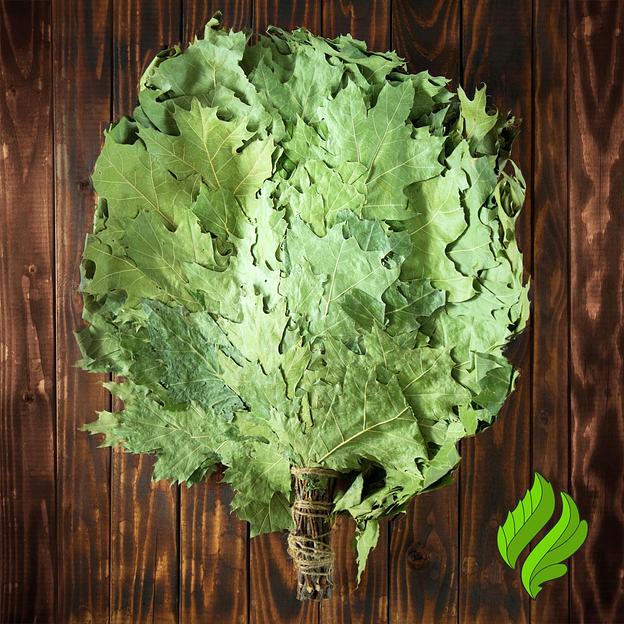 Веник из канадского дуба для бани фото 1