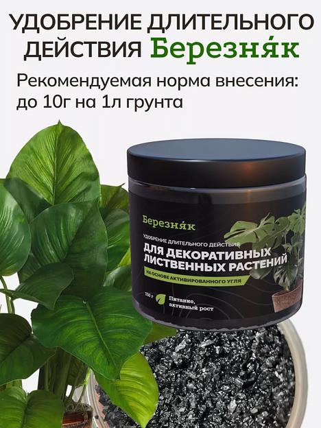 Удобрение Березняк для декоративных лиственных растений 150 г фото 6