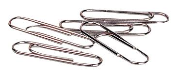 Скрепки Deli E0025 металл 29мм (упак.:100шт) пластиковая коробка фото 1