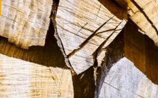 Дубовые дрова от 1 м3 фото 1