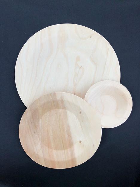 Тарелка для главных блюд одноразовая, круглая 230 мм фото 8