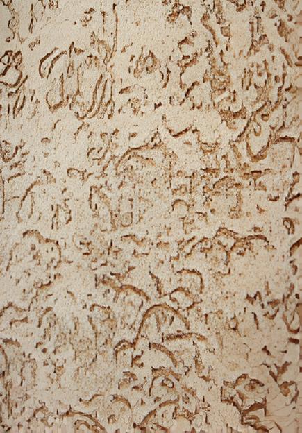 Фиброцементные панели с фактурно-полимерным покрытием Короед 1200х1500х10 мм ОПТ фото 1