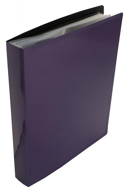 Папка с 80 прозр.вклад. Бюрократ DeLuxe DLVBOX80BBERRY A4 пластик 0.7мм черничный в коробе фото 2