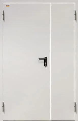 Металлическая противопожарная дверь ДТ2 ОПТ фото 1