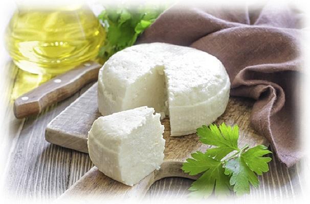 Адыгейский классический сыр ОПТ фото 1