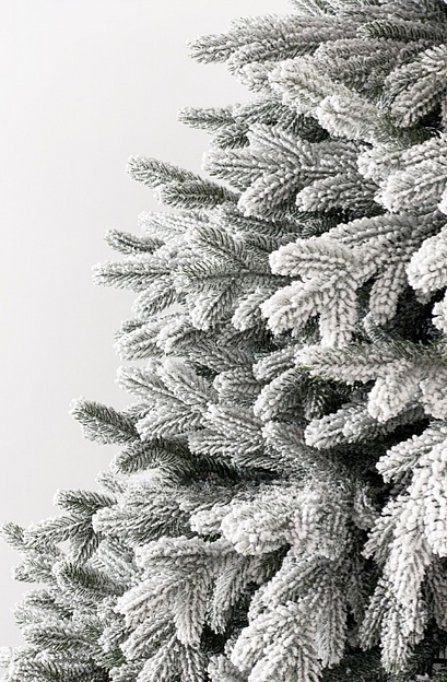 Искусственная ель «Скандинавская заснеженная» 100% литая, 250 см ОПТ фото 2