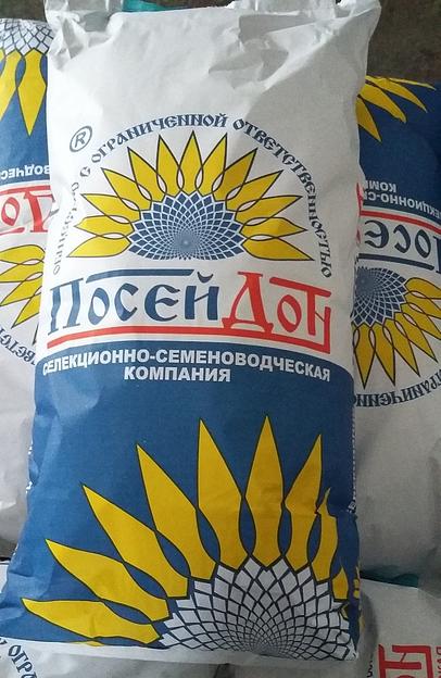 Семена подсолнуха Казачий опт фото 2