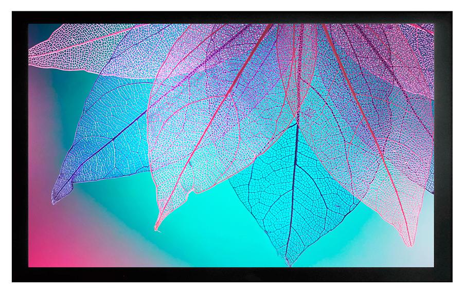 Экран на раме Cactus 124x220см FrameExpert CS-PSFRE-220X124 16:9 настенный натяжной фото 1