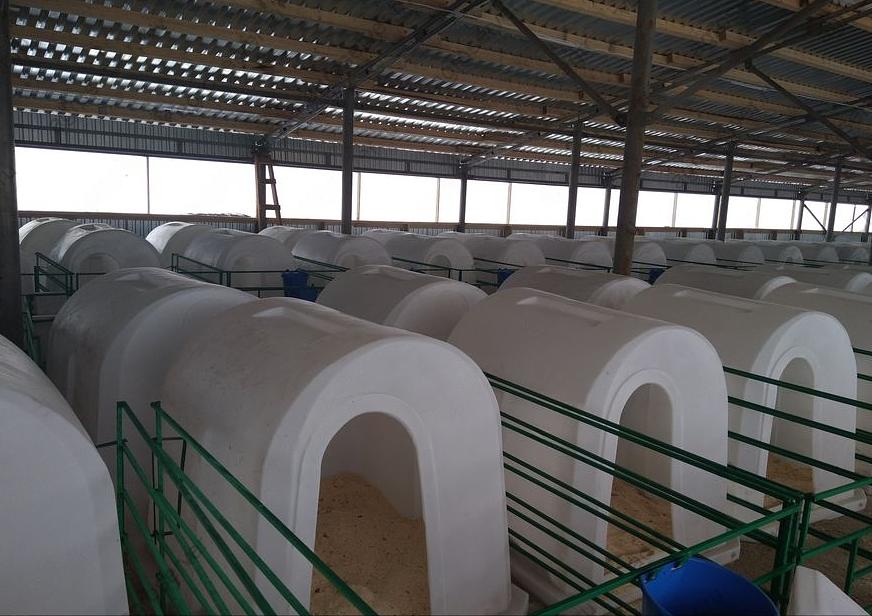 Домик для телят фото 4