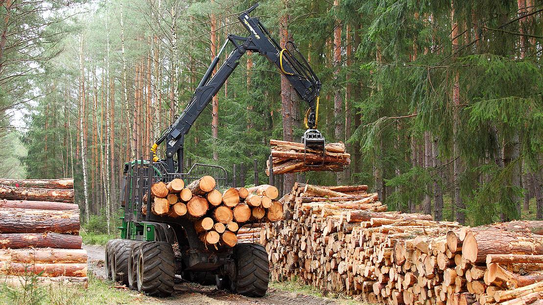 Цепи сварные круглозвенные для бревнотасок опт фото 1