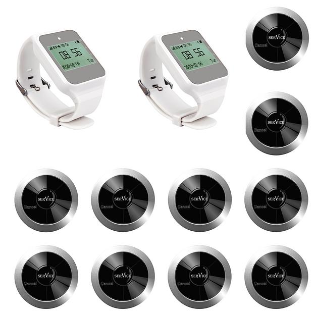 Система вызова из 2-х часов и 10-ти кнопок SWB16-2 фото 1