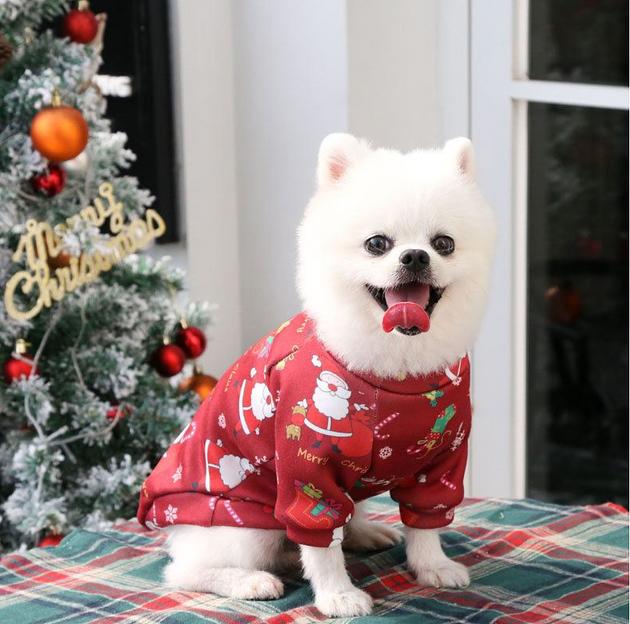 Рождественская одежда для домашних животных ОПТ фото 1