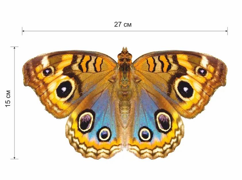 Деревянные пазлы «Юнония» S 27×15 см 92 детали фото 8