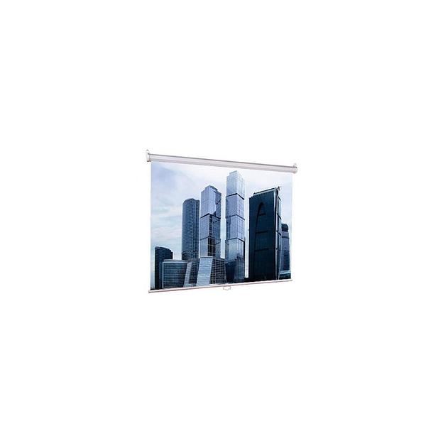 Экран Lumien Eco Picture LEP-100103, 200х200 см, 1:1, настенно-потолочный фото 1
