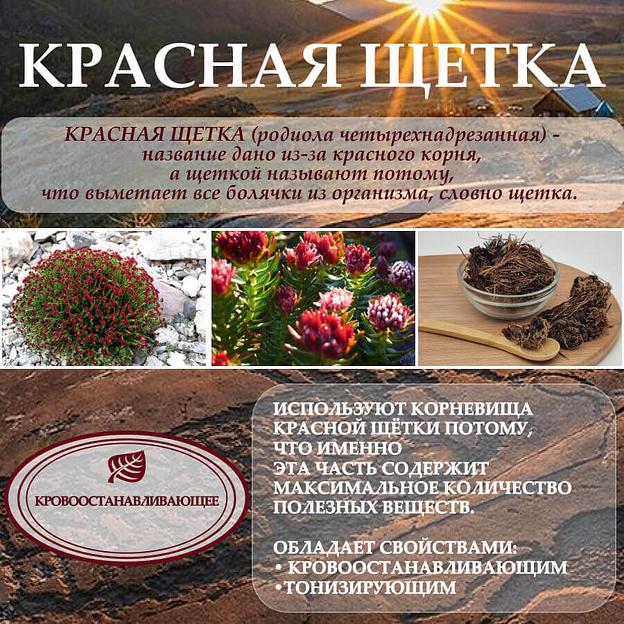 Алтайский бальзам с боровой маткой и красной щеткой 250 мл, опт фото 7