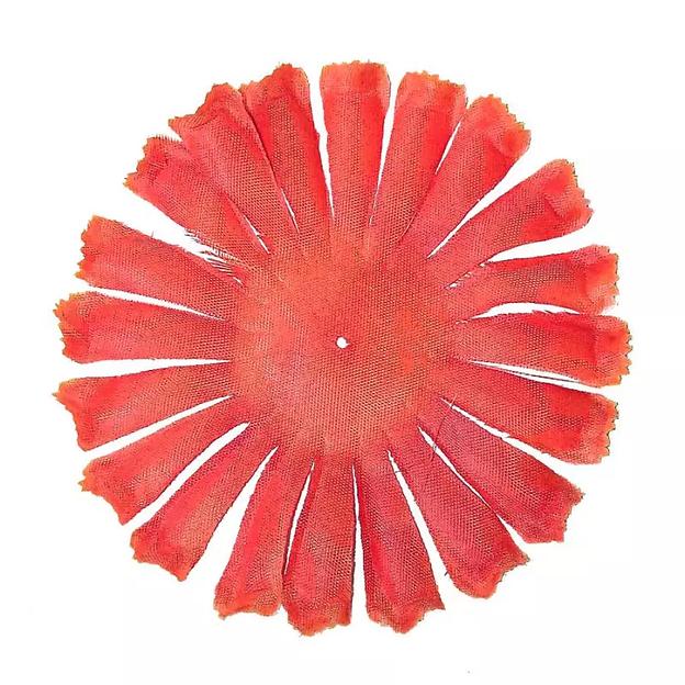 Заг-ка для шафрана YZ-41 оранжевого с жёлт. кантом 1 слой 12,5см 1075шт/кг фото 1