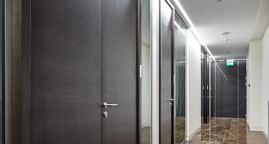 Двери NAYADA шпонированные Regina под заказ фото 5