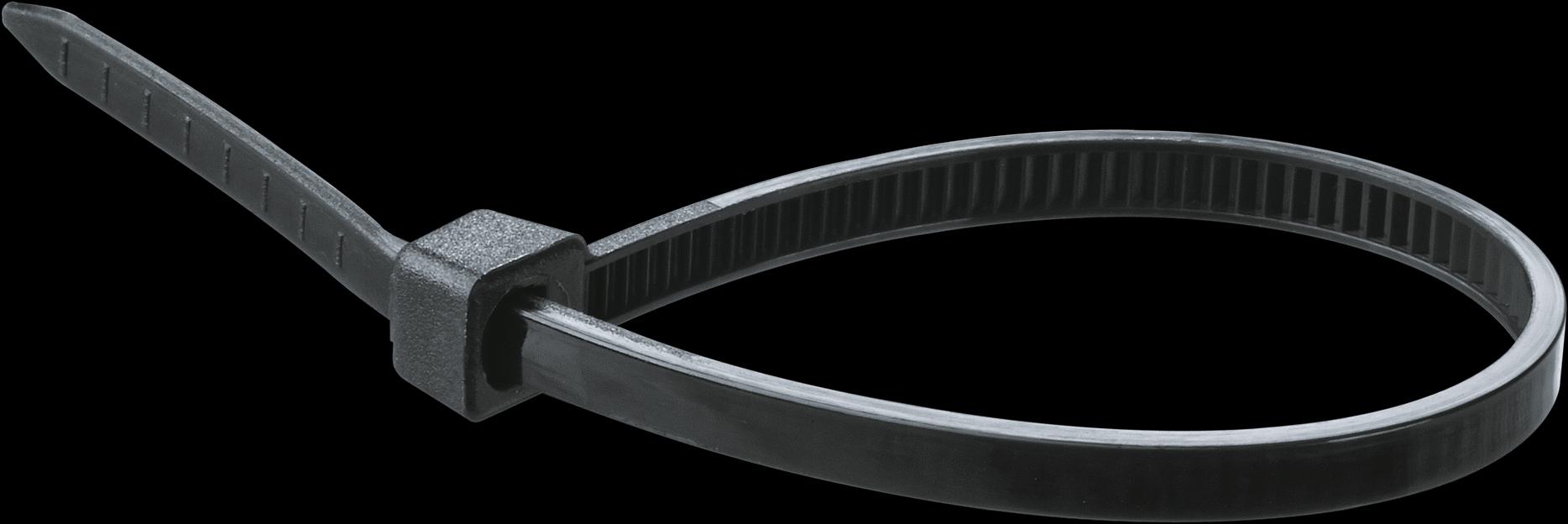 Хомут 100х2.5мм черный нейлон (100шт) фото 1