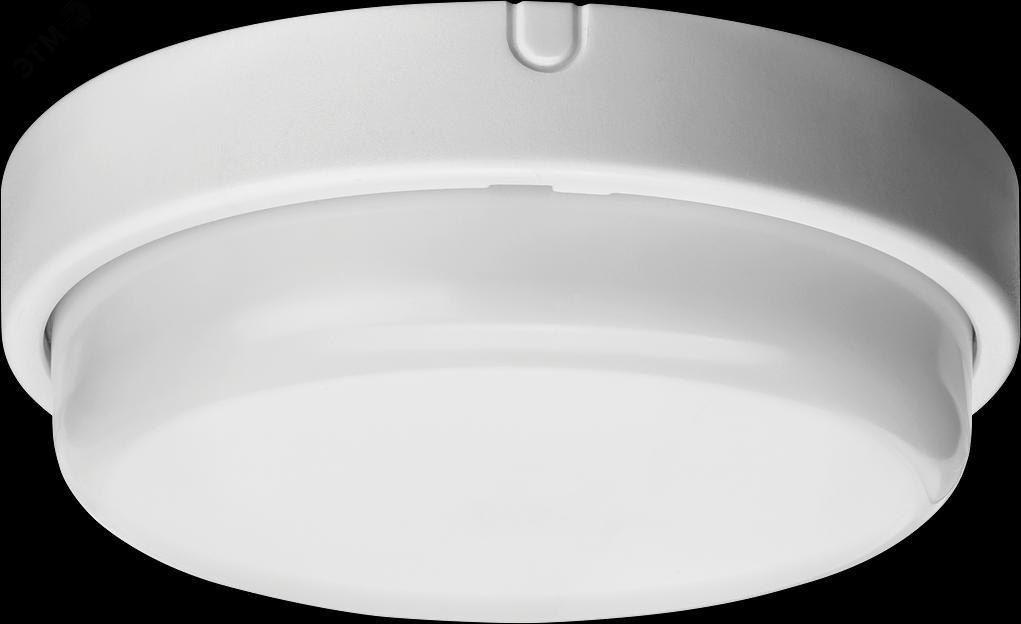 Светильник светодиодный ДБП-7w 4000К 520Лм IP65 круглый пластиковый белый Navigator Group 21003 фото 2