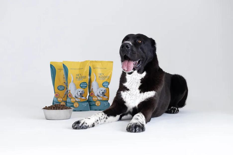 Сухой полнорационный корм для взрослых собак крупных пород, с говядиной и рисом, 2 кг фото 4