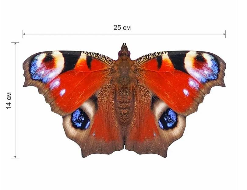 Деревянные пазлы «Павлиний глаз» S 25×14 см 153 деталей фото 7