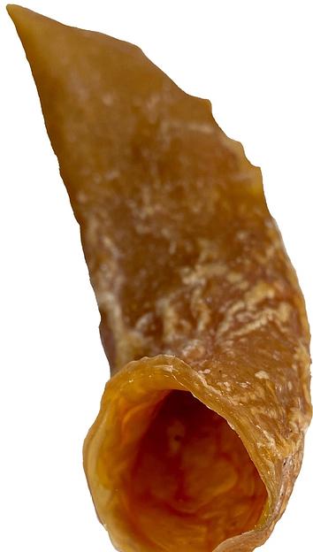 Аорта лакомства для собак 1 кг ОПТ фото 1