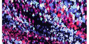 Бифлекс с принтом фото 5