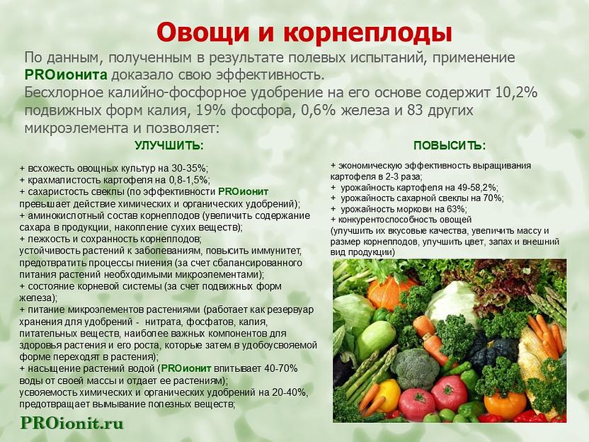 PROионит PROionit Кондиционер почв с Микроэлементами фото 8