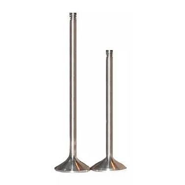 Клапан впускной/выпускной Д27.16.006 на тепловозный двигатель фото 1