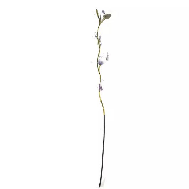 Сухоцвет ветка с капрон. цветками 897-5 (цена за ветку) 150см фото 2