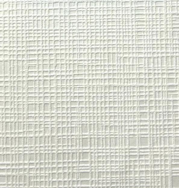 Обои ESDM «871145» Silk под покраску фото 1