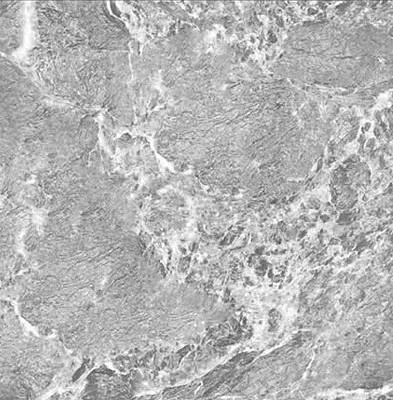 Напольный керамогранит ProGRES «Гриджио» 60х60 см ОПТ фото 1