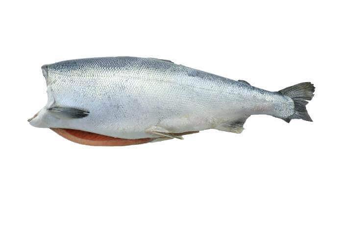 Кижуч форель б/г 4,1+ Чили ОПТ фото 1