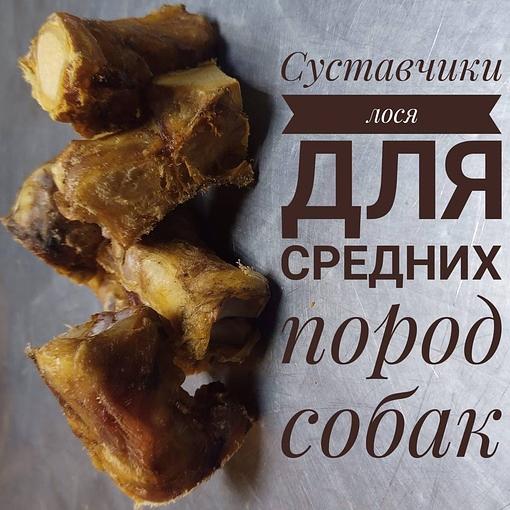 Лакомство для собак «Суставчики лося» для средних пород, опт фото 1