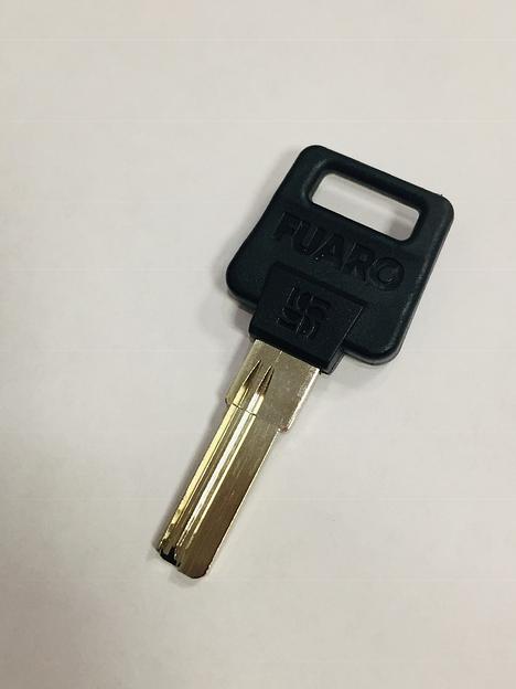 Заготовка ключа FUARO-2P (пластик) фото 1