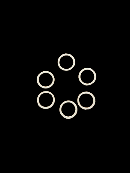 Кольцо ГОСТ 23825-79 опт фото 4