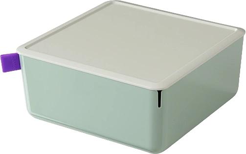 Короб для хранения Deli XDM11green 1отд. 212x212x93.5мм зеленый/серый пластик фото 1