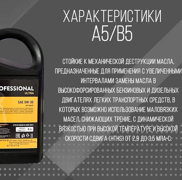 Масло моторное Svancer 5W-30 синтетическое 5 л ОПТ фото 5