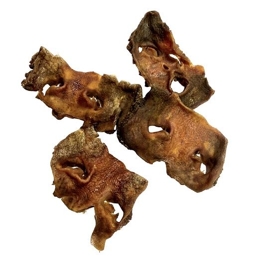 Нос говяжий лакомство для собак 1 кг ОПТ фото 3