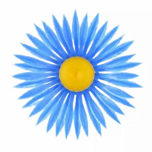 СИНТИЯ Астра мини (917шт/кг) 5,5см 1/50 фото 1